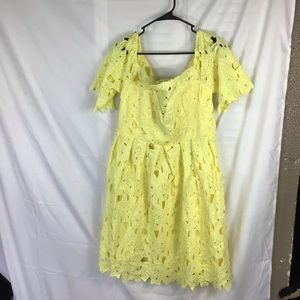 NWT plus size skater dress